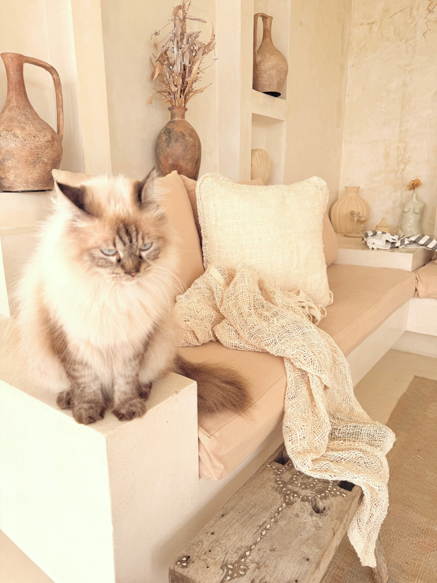 Coastal Natural Woven Cushion & Throw Set - New!