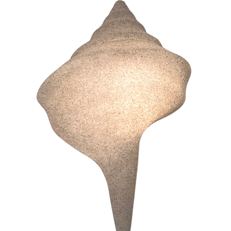 Cone shell decor.