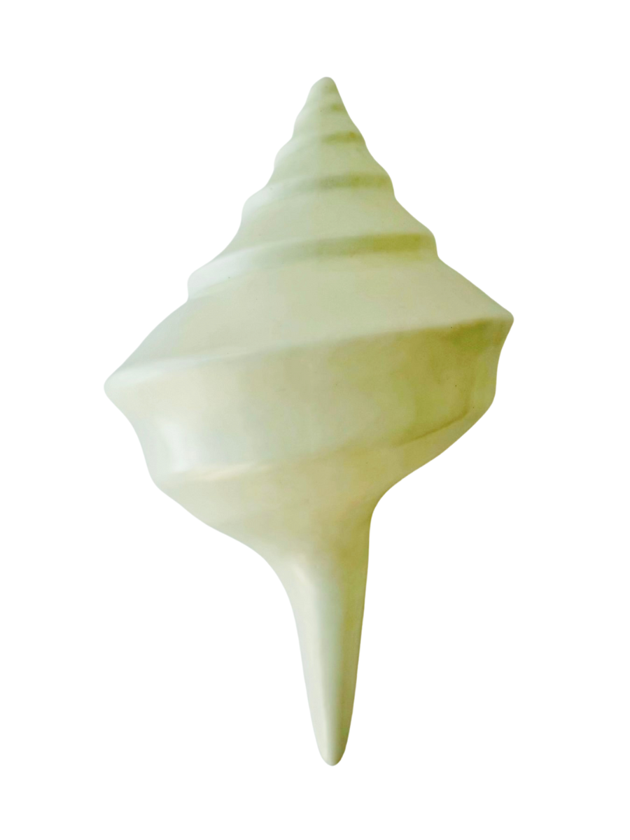 Conch Shell Wall Decor/Light - White - New!