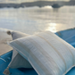Linen Tassels cushion cover - Ecru - Restock!