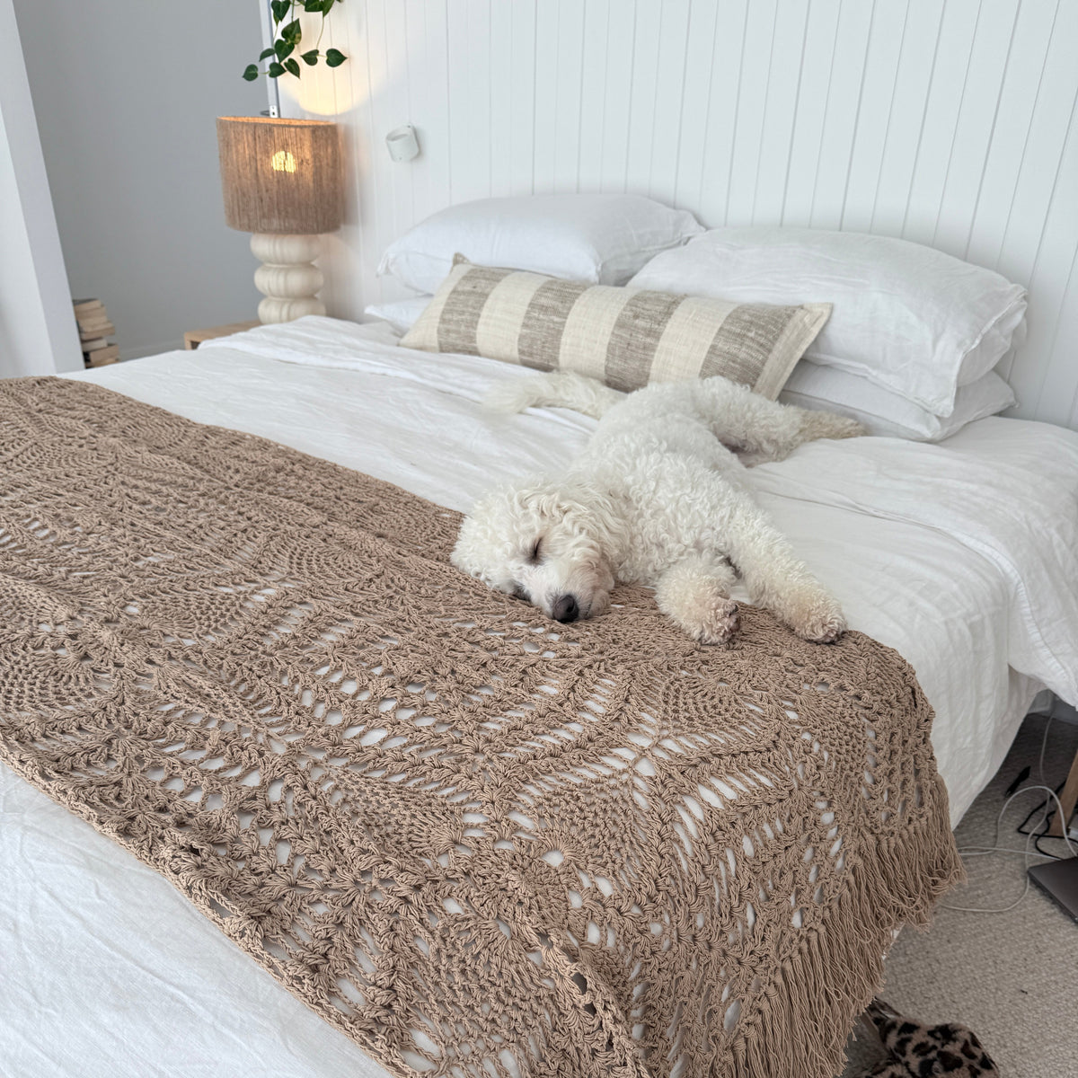Small white dog sleeping on a bed styled with a brown crocheted throw blanket and striped lumbar pillow.