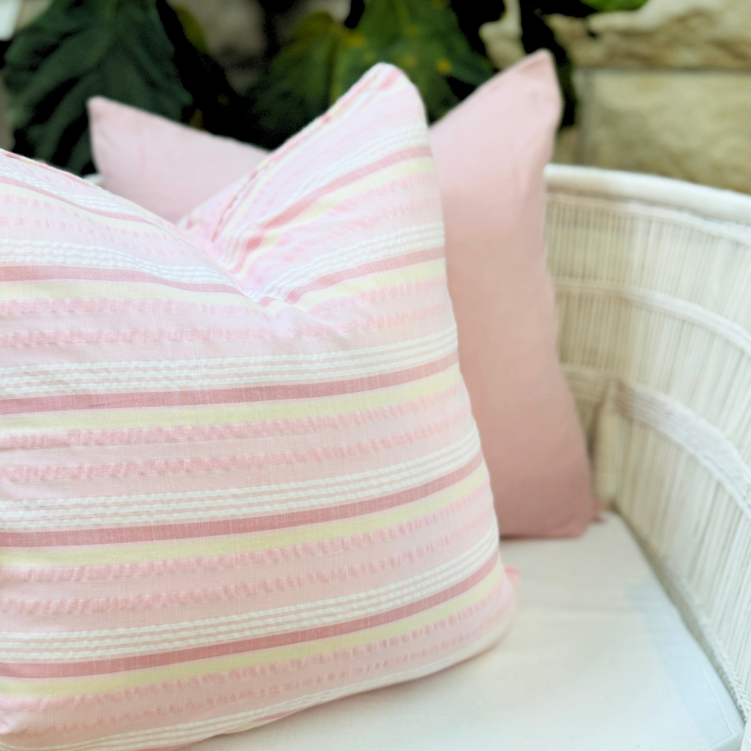 Candy Palm Summer Set - New!