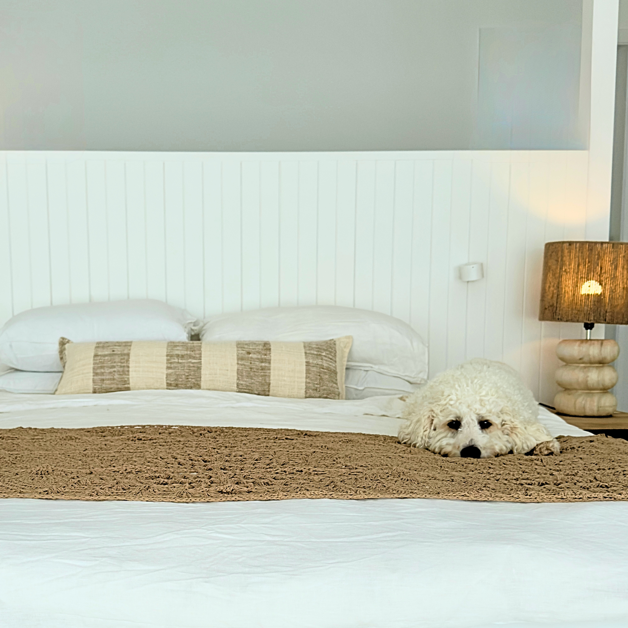 Dog lying on a bedroom and lamp in the background.