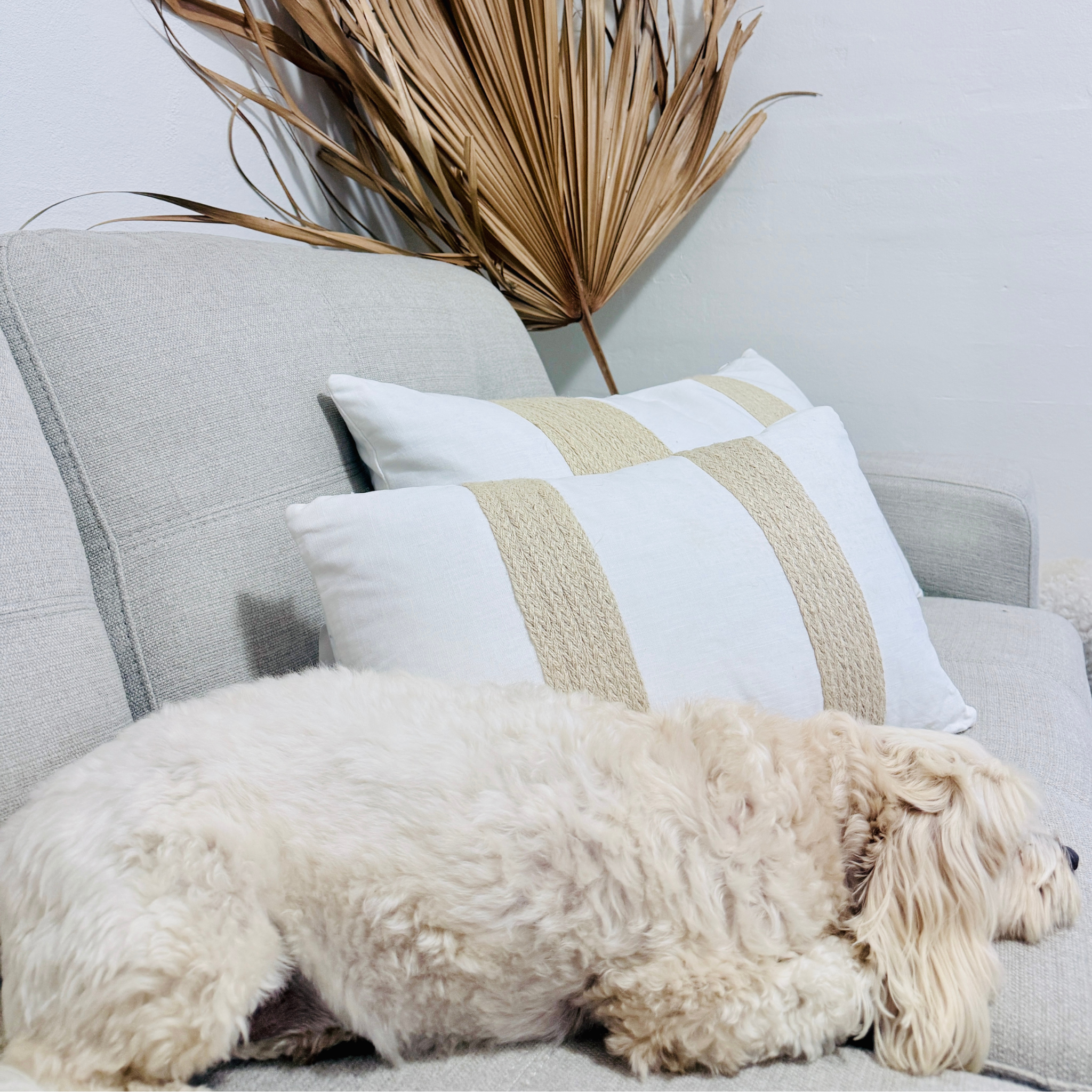 Coconuts Cushion Set - New Design!