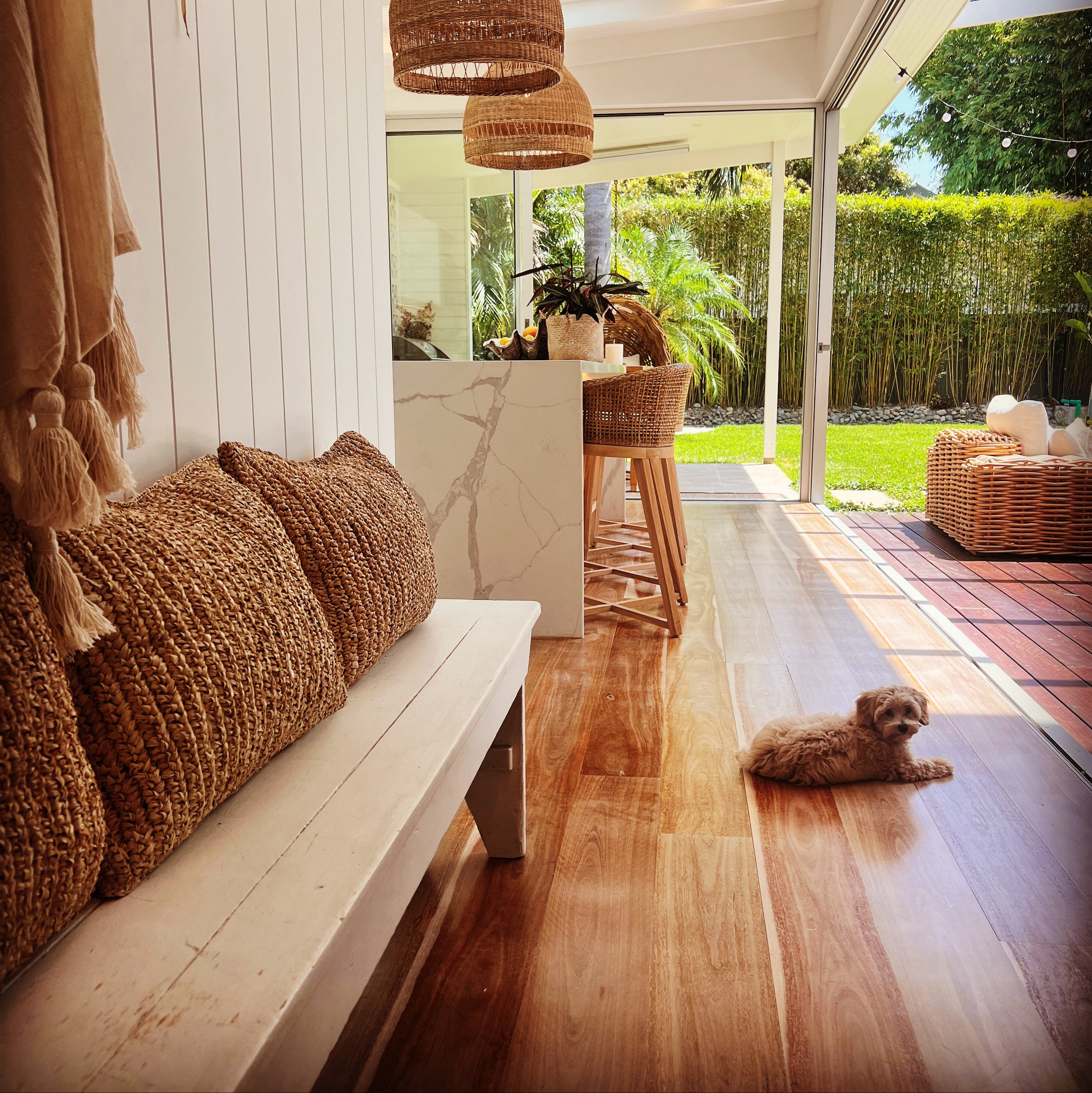 Woven cushion on a bench with dog outdoor.
