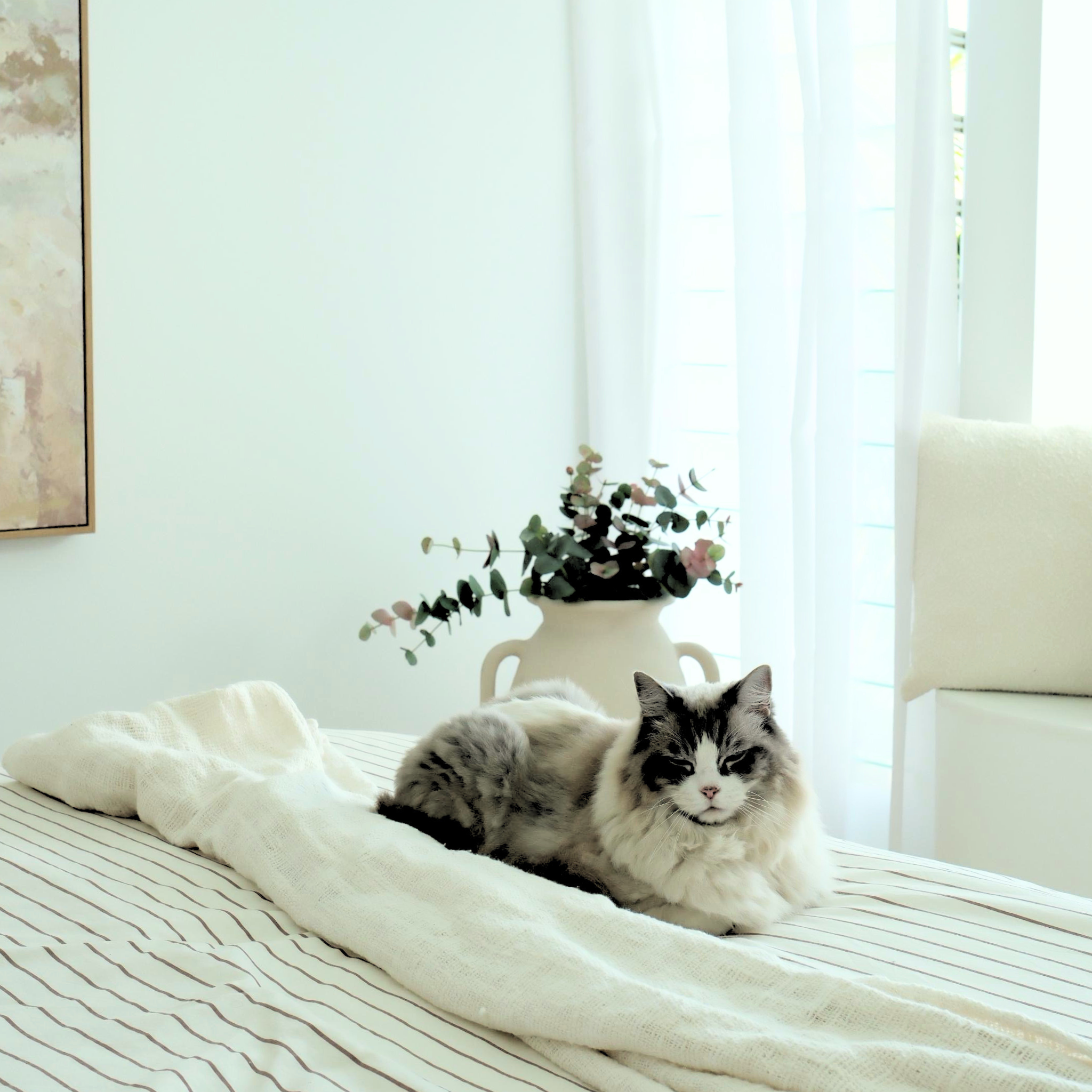 Serenity Cushion and Throw Set
