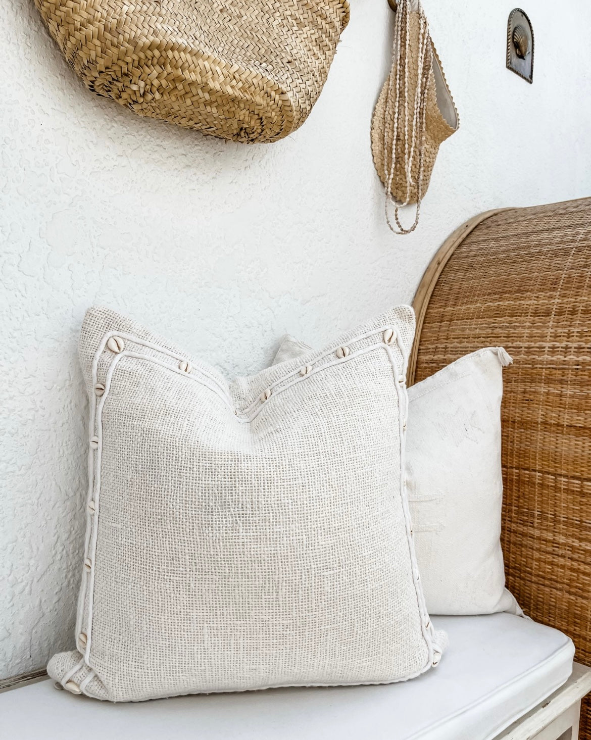 Canary Island Palm