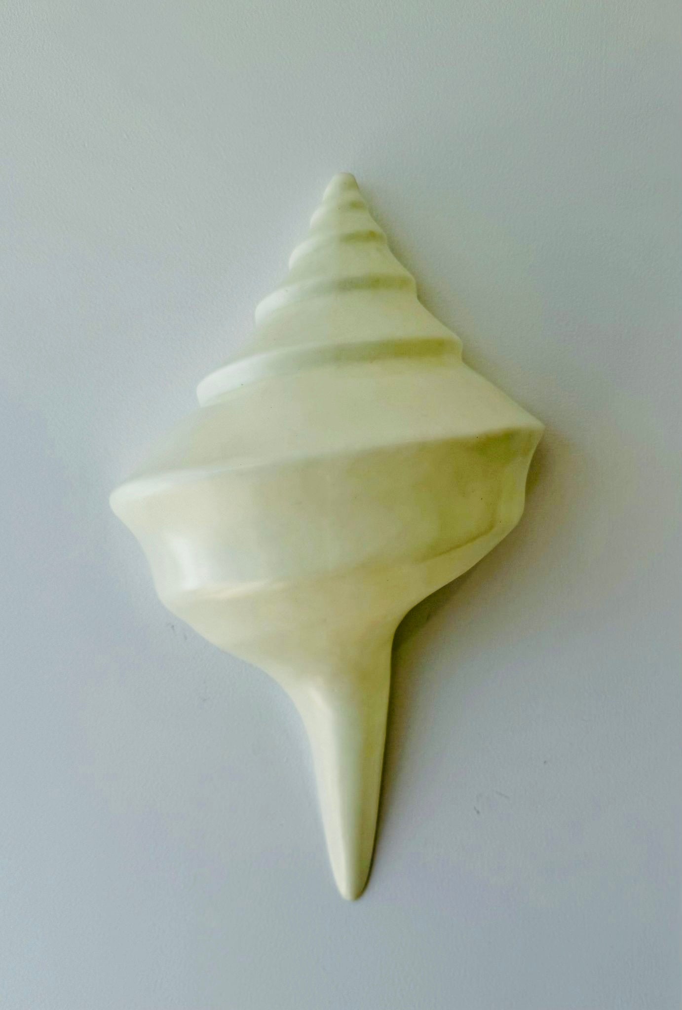 Conch Shell Wall Decor/Light - White - New!