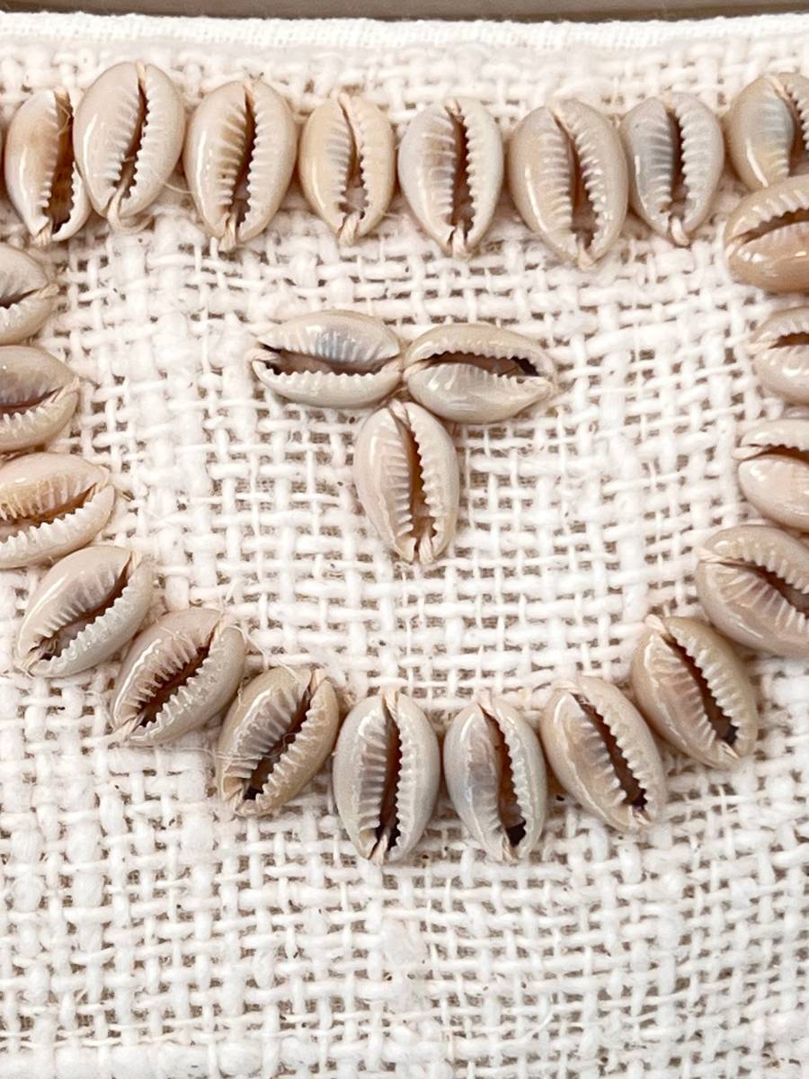 Shell cover - Scallop